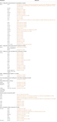 The emerging threat antifungal-resistant Candida tropicalis in humans, animals, and environment